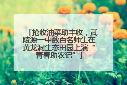 抢收油菜助丰收，武陵源一中数百名师生在黄龙洞生态田园上演“青春助农记”