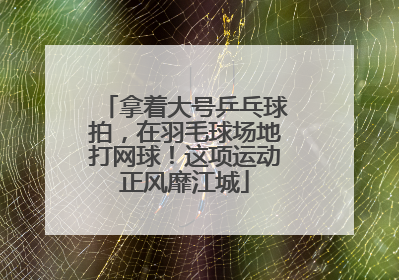 拿着大号乒乓球拍，在羽毛球场地打网球！这项运动正风靡江城