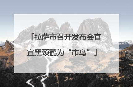 拉萨市召开发布会官宣黑颈鹤为“市鸟”