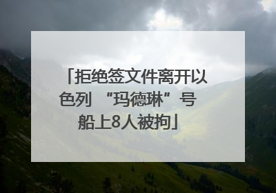 拒绝签文件离开以色列 “玛德琳”号船上8人被拘