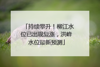 持续攀升！柳江水位已出现复涨，洪峰水位最新预测
