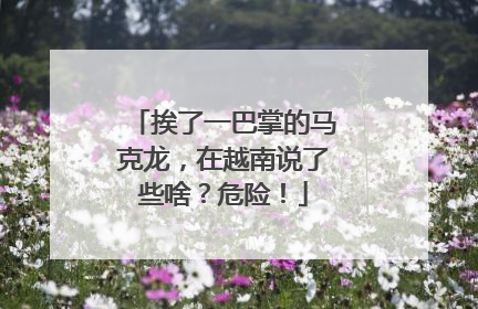 挨了一巴掌的马克龙，在越南说了些啥？危险！