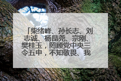 柴绪峰、孙长志、刘志诚、杨昆尧、宗刚、樊桂玉，罔顾党中央三令五申，不知敬畏、我行我素、肆意妄为！