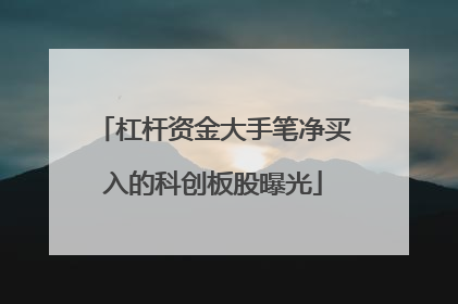 杠杆资金大手笔净买入的科创板股曝光