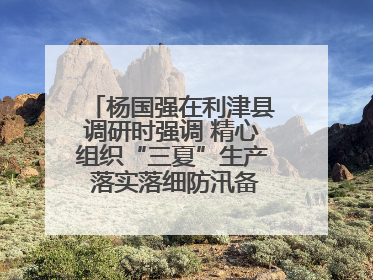 杨国强在利津县调研时强调 精心组织“三夏”生产 落实落细防汛备汛工作