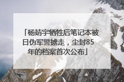 杨靖宇牺牲后笔记本被日伪军警掳走，尘封85年的档案首次公布