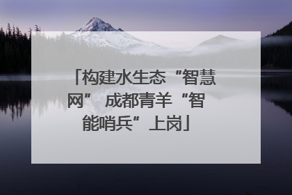 构建水生态“智慧网” 成都青羊“智能哨兵”上岗