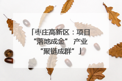 枣庄高新区：项目“落地成金” 产业“聚链成群”