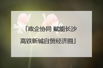 政企协同 赋能长沙高铁新城自贸经济圈