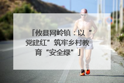 攸县网岭镇：以“党建红”筑牢乡村教育“安全绿”