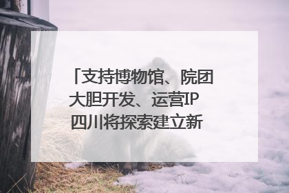 支持博物馆、院团大胆开发、运营IP 四川将探索建立新的收入分配激励机制｜新闻发布最前线