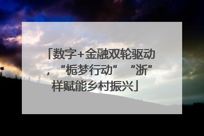 数字+金融双轮驱动，“栀梦行动”“浙”样赋能乡村振兴