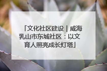 文化社区建设｜威海乳山市东城社区：以文育人照亮成长灯塔