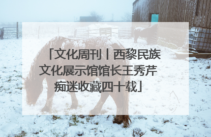 文化周刊丨西黎民族文化展示馆馆长王秀芹痴迷收藏四十载