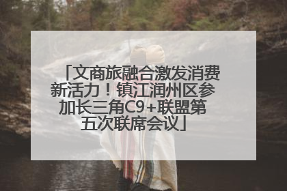 文商旅融合激发消费新活力！镇江润州区参加长三角C9+联盟第五次联席会议