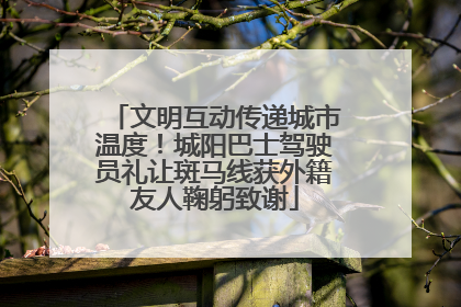 文明互动传递城市温度！城阳巴士驾驶员礼让斑马线获外籍友人鞠躬致谢