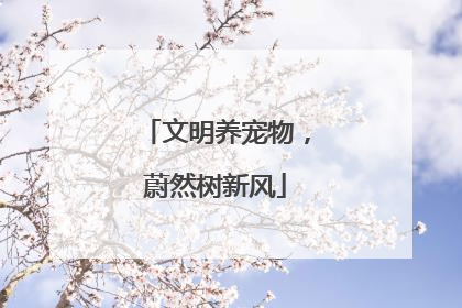 文明养宠物，蔚然树新风