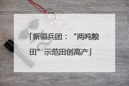 新疆兵团：“两吨粮田”示范田创高产