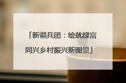 新疆兵团：绘就绿富同兴乡村振兴新图景