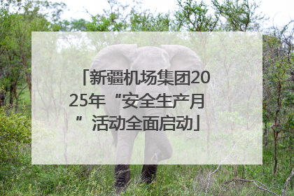 新疆机场集团2025年“安全生产月”活动全面启动
