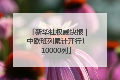 新华社权威快报｜中欧班列累计开行110000列