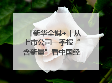 新华全媒+｜从上市公司一季报“含新量”看中国经济发展向“新”