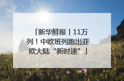 新华鲜报丨11万列！中欧班列跑出亚欧大陆“新时速”