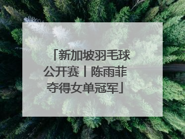 新加坡羽毛球公开赛丨陈雨菲夺得女单冠军