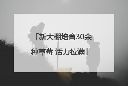 新大棚培育30余种草莓 活力拉满