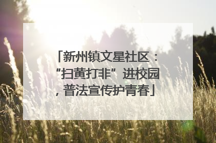 新州镇文星社区：“扫黄打非”进校园，普法宣传护青春