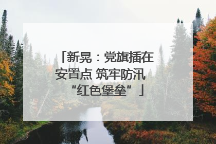 新晃：党旗插在安置点 筑牢防汛“红色堡垒”