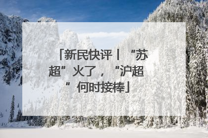 新民快评丨“苏超”火了，“沪超”何时接棒