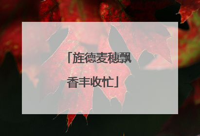 旌德麦穗飘香丰收忙