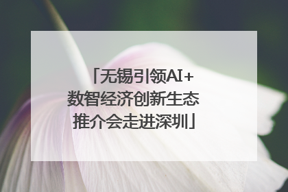 无锡引领AI+数智经济创新生态推介会走进深圳