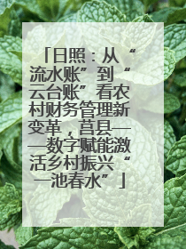 日照：从“流水账”到“云台账”看农村财务管理新变革，莒县——数字赋能激活乡村振兴“一池春水”