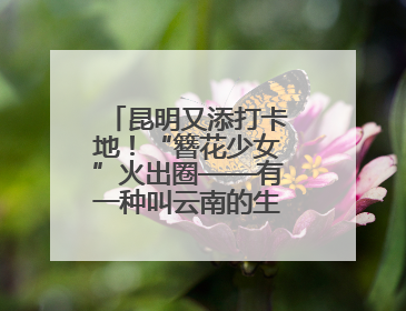昆明又添打卡地！“簪花少女”火出圈——有一种叫云南的生活之365天