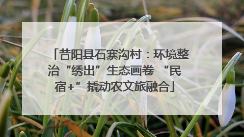 昔阳县石寨沟村：环境整治“绣出”生态画卷 “民宿+”撬动农文旅融合