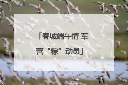 春城端午情 军营“粽”动员
