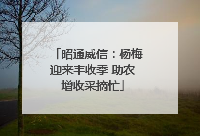 昭通威信：杨梅迎来丰收季 助农增收采摘忙