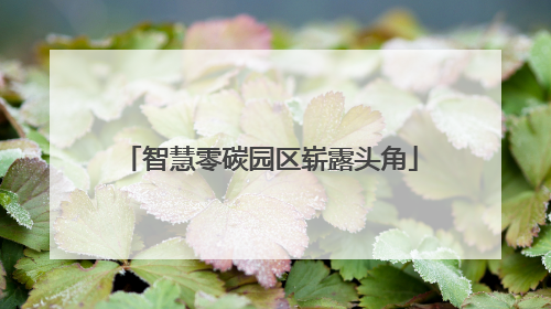智慧零碳园区崭露头角