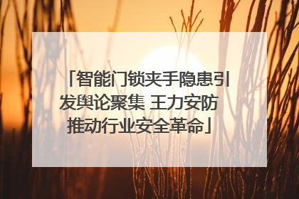 智能门锁夹手隐患引发舆论聚集 王力安防推动行业安全革命