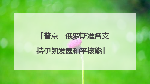 普京：俄罗斯准备支持伊朗发展和平核能