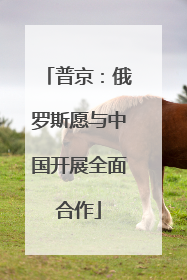 普京：俄罗斯愿与中国开展全面合作