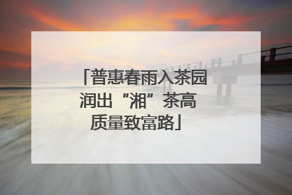 普惠春雨入茶园 润出“湘”茶高质量致富路