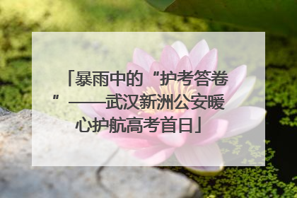 暴雨中的“护考答卷”——武汉新洲公安暖心护航高考首日