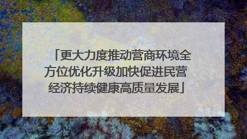 更大力度推动营商环境全方位优化升级加快促进民营经济持续健康高质量发展