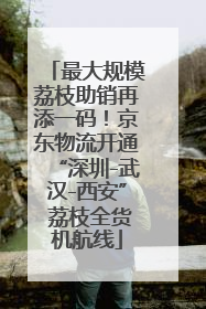 最大规模荔枝助销再添一码！京东物流开通“深圳-武汉-西安” 荔枝全货机航线