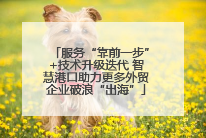 服务“靠前一步”+技术升级迭代 智慧港口助力更多外贸企业破浪“出海”