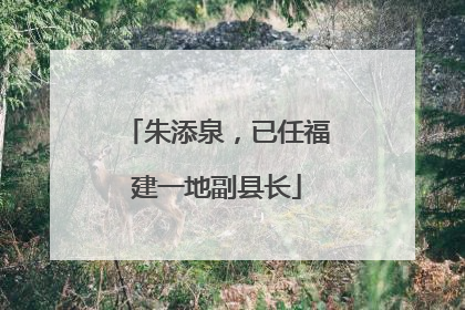 朱添泉，已任福建一地副县长