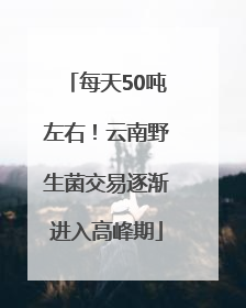 每天50吨左右！云南野生菌交易逐渐进入高峰期